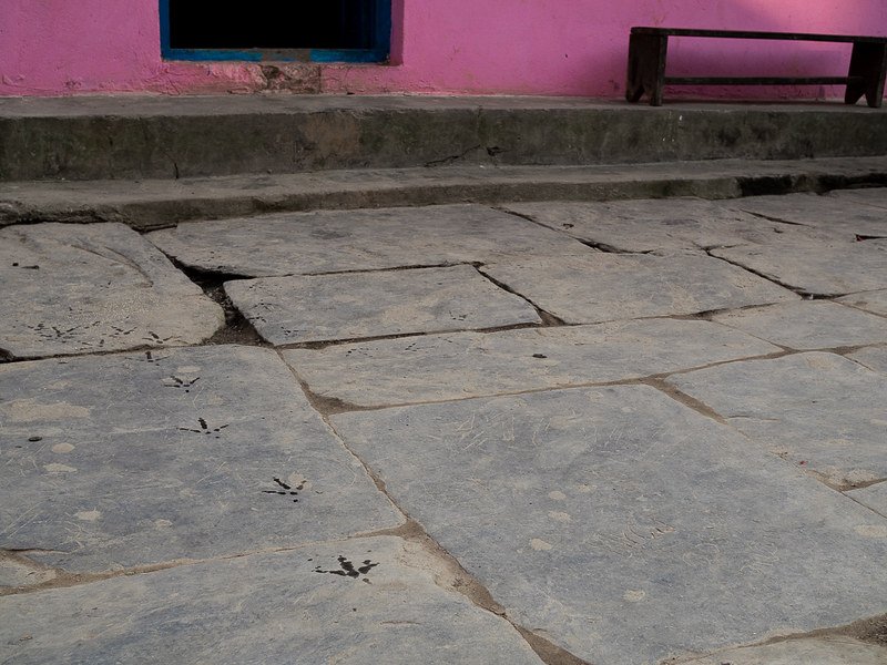 Nepal (10)