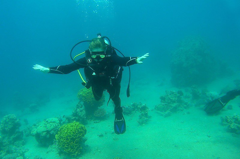 Aqaba, sukellus, korallit