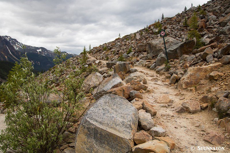Polku, Mt Edith Cavell, Jasper
