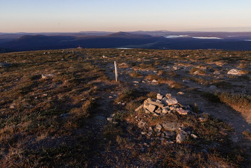 Laukukero, Pallas (13)