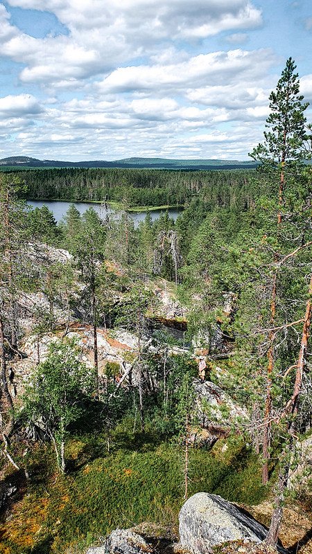 Aholanvaaran hiidenkirnut (3)