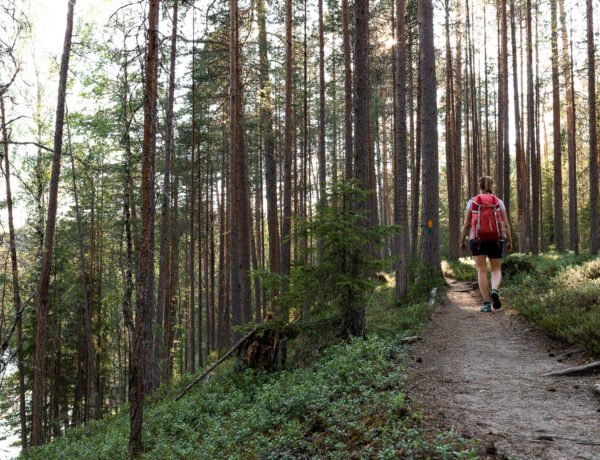 Kanjonin kurkkaus, Oulangan kansallispuisto, Salla